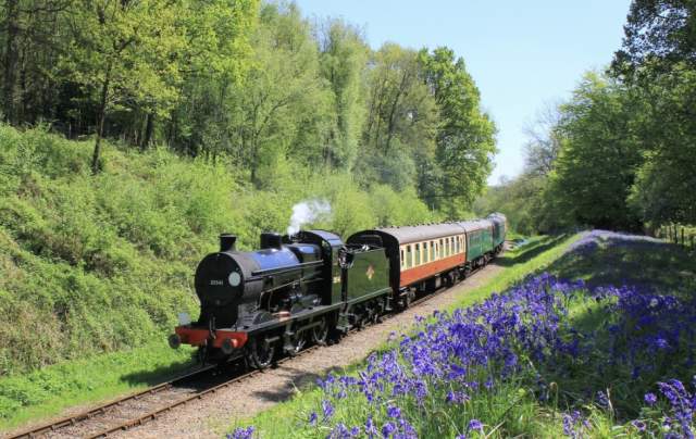 Bluebell railway steam train travelling past bluebell woods in Sussex