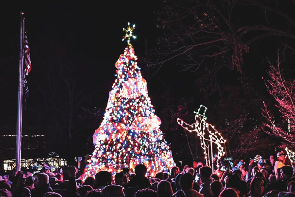 Shelbyville Christmas Tree