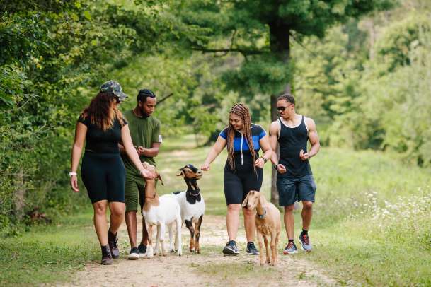 Hiking with goats