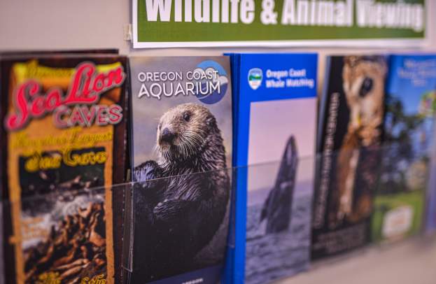 A rack of brochures on wildlife and animal viewing.