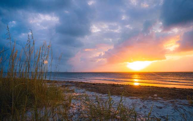 Best Beaches in the Golden Isles: A Local's Guide