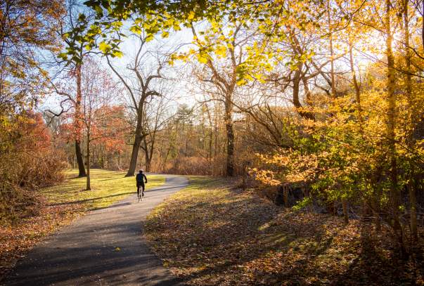 Bronx River Cyclist