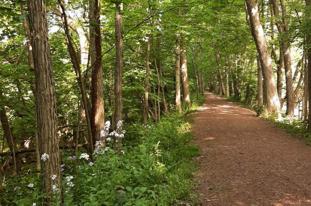 Watsontown Towpath
