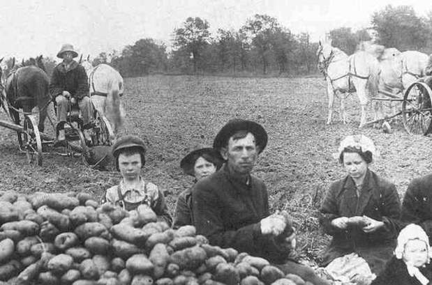 Historical Hoover potato digger