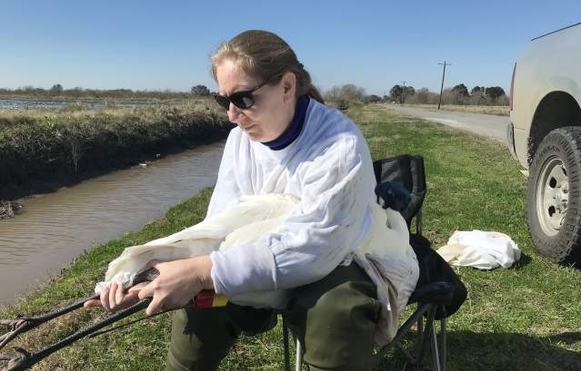 whooping-crane-festival-port-aransas-texas-speakers-sara-zimorski