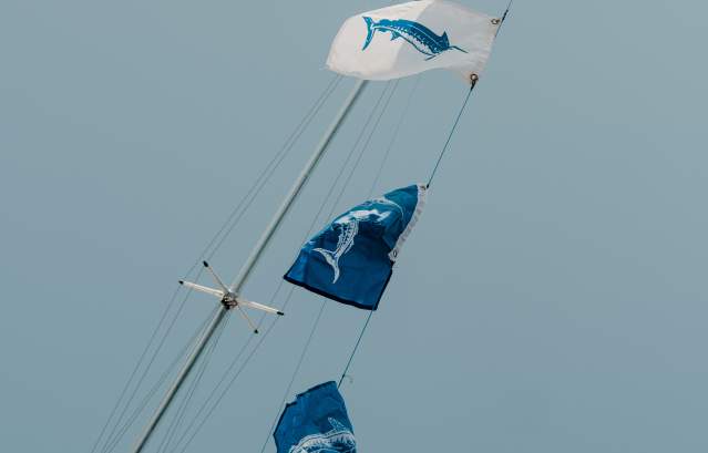 A row of blue and white fish flags hung from a boat.