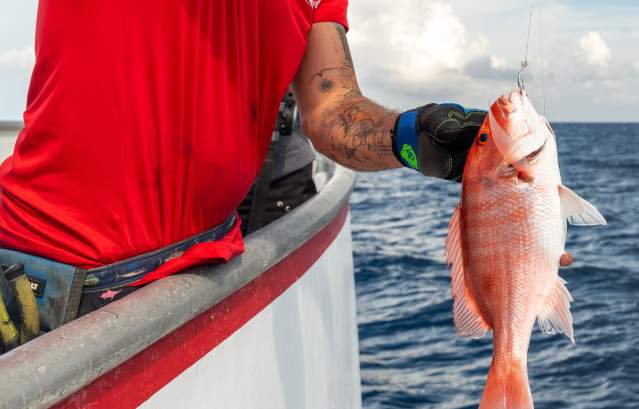 snapper-fishing-fisherman's wharf