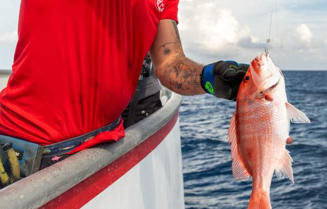 snapper-fishing-fisherman's wharf