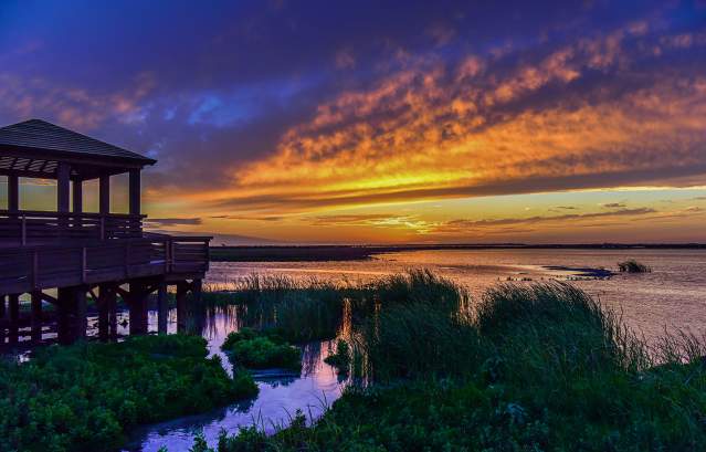 A vibrant sun sets over marshy waters. On the left sits a wooden observation deck.
