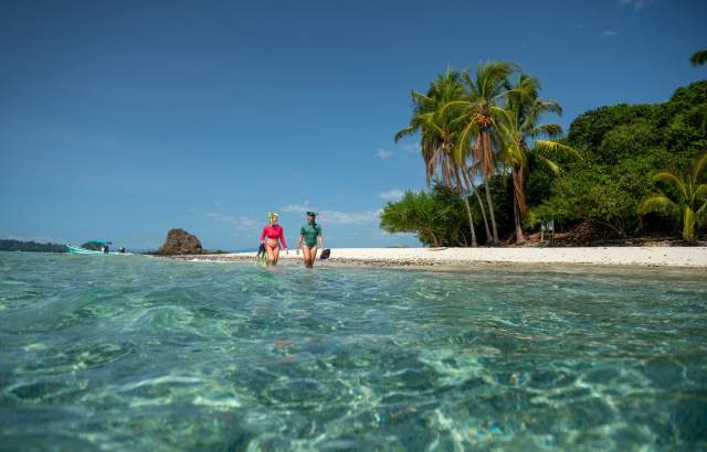 Turistas caminando en aguas cristalinas en playa del Pacífico panameño rodeada de palmeras
