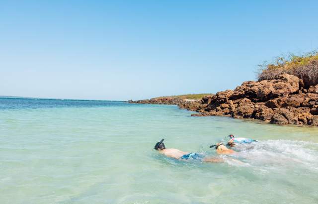 Group snorkeling on crystal waters of Iguana Island