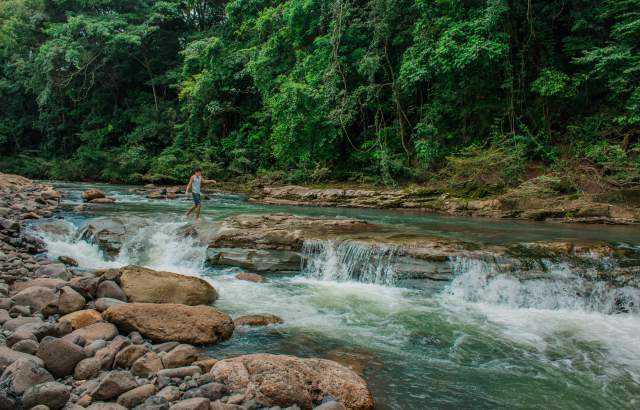 Person walking over rocks in a crystal-clear river surrounded by tropical rainforest