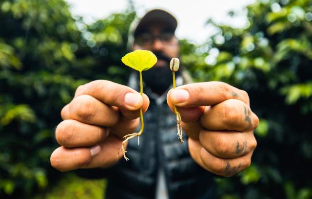 The image shows a person holding two small plants. The plants are at different stages of growth, with one being significantly larger than the other. The person is holding the plants in front of their face, with the background blurred out.