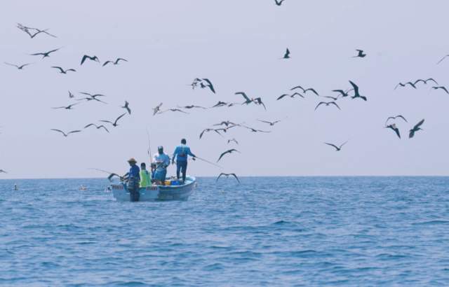 Group boat fishing at Estiva Island, with lots of birds in a sunny day