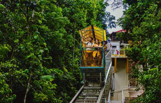 Turistas en teleférico rodeado de selva tropical en Barro Colorado, Panamá