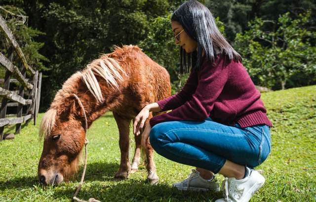 Una turista acariciando a un poni en los jardines de la granja Haras en Cerro Punta, provincia de Chiriquí