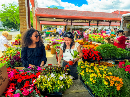 Farmers Market - West Allis Farmers Market 2