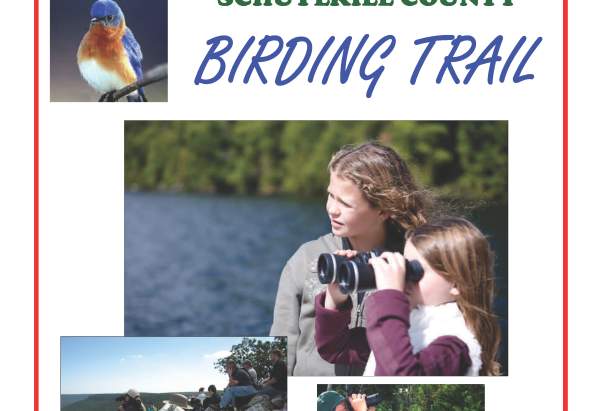 SCHUYLKILL COUNTY BIRDING TRAIL Page 1