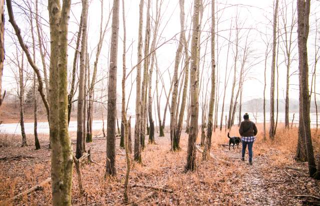 Paynetown Winter Hike