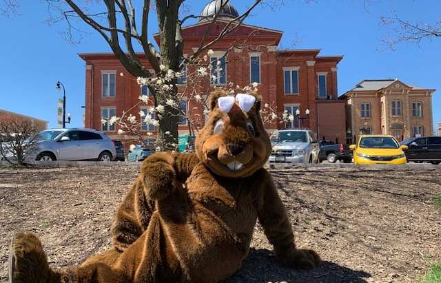 Easter Egg-stravaganza Hunt with Willie