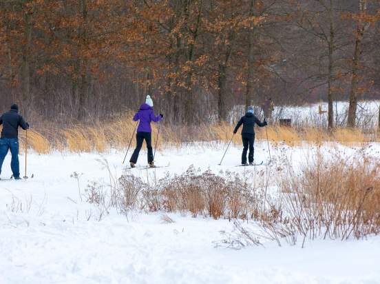 Oak Ridge Prairie Cross Country Skiing