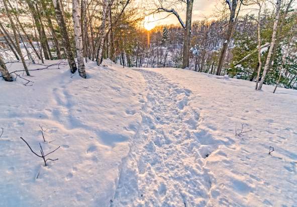 Where to Snowshoe in the Stevens Point Area