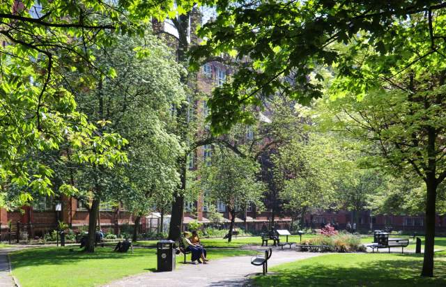 Image of a park