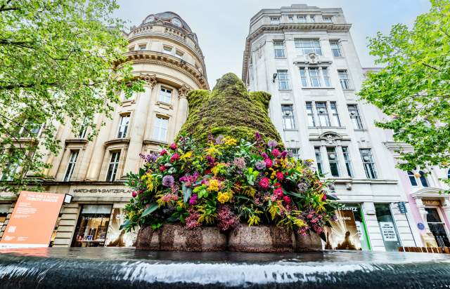 The Manchester Flower Festival Floral Trail: St Ann's Square