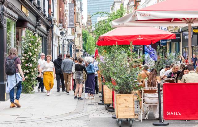 The Manchester Flower Festival
