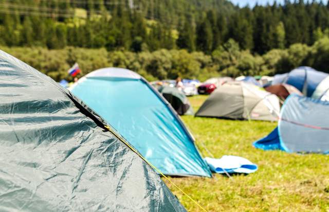 Tents on field surrounded by trees