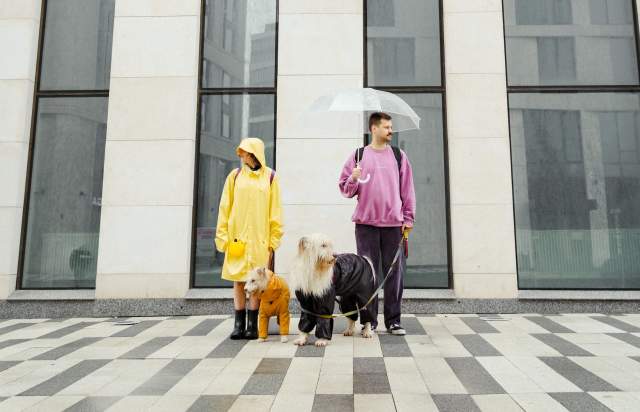 2 people in raincots with an umbrella and 2 dogs stood outside a building