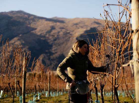Coat Pit Winemaker - Anika in a vineyard