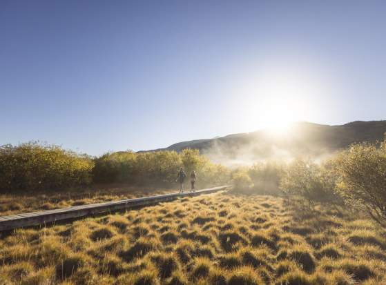 Day Trips From Queenstown