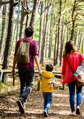 Family walking in Formby Woods