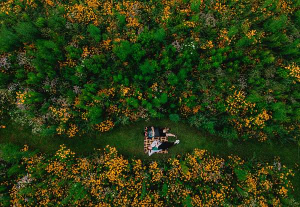 Golspie pollinator gardens