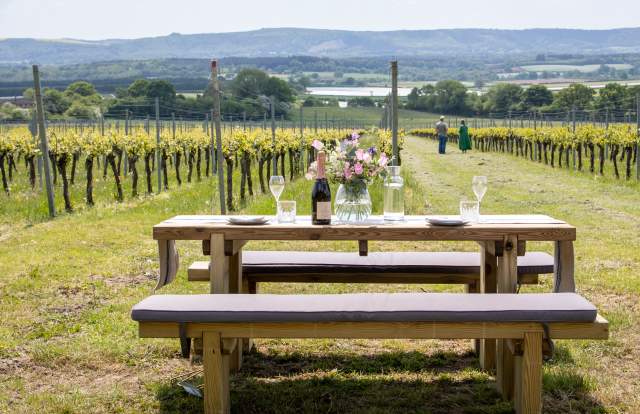 A bottle of English sparkling wine and flowers on a picnic bench at Roebuck Estate vineyard, with vines in the distance