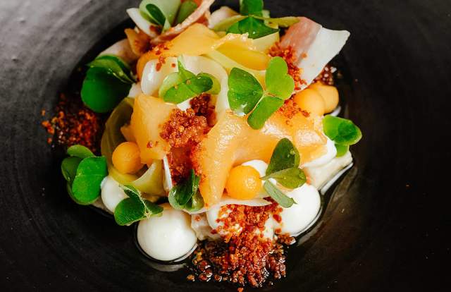 south lodge camelia food