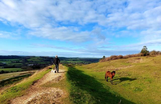 A man walks a dog along a track with a horse waking in the opposite field, on Cissbury Ring in Sussex