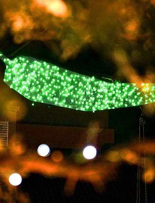 Chile Drop New Years Eve