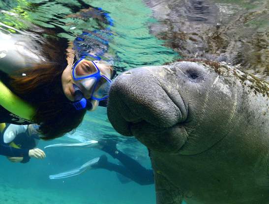 Gray Line Orlando sightseeing tours