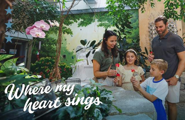 Video Thumbnail - youtube - Soak up Some Summer Vibes in Branson