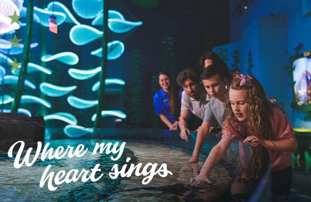 Video Thumbnail - youtube - Find your Summer Adventure in Branson