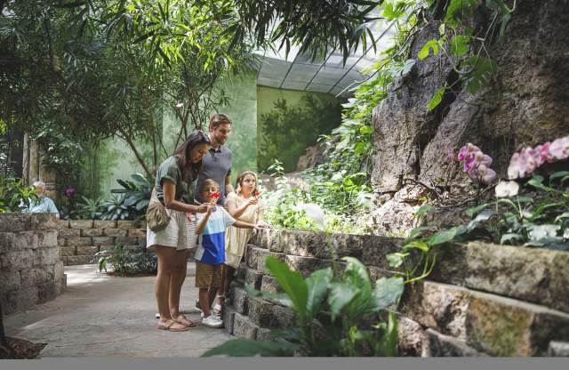 Butterfly Palace Spring Attraction Family