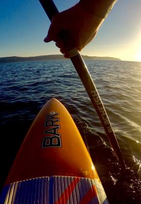 Paddleboarder in Salish Sea