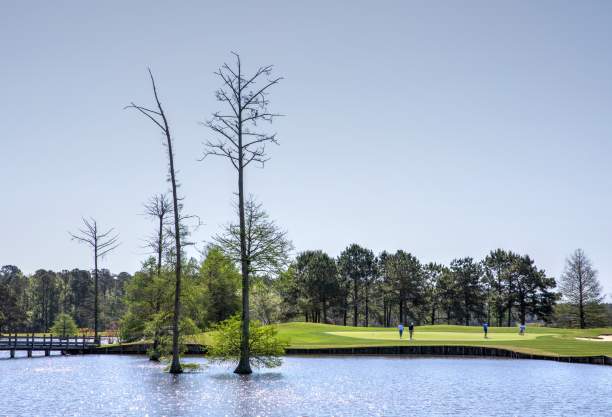 Hole number 8 at Crow Creek Golf Club in Calabash NC