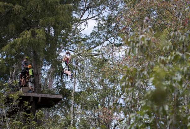 A person zips down a cable at The Swamp Park in Ocean Isle Beach, surrounded by lush green trees and others watching from the platform below.
