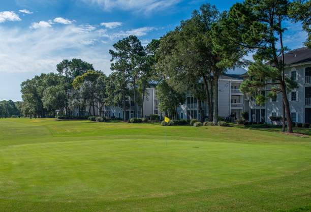 a golf course green with golf-front condos in the background at Sea Trail Golf Resort
