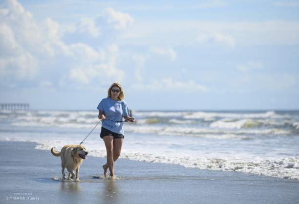 woman walking dog on the beach