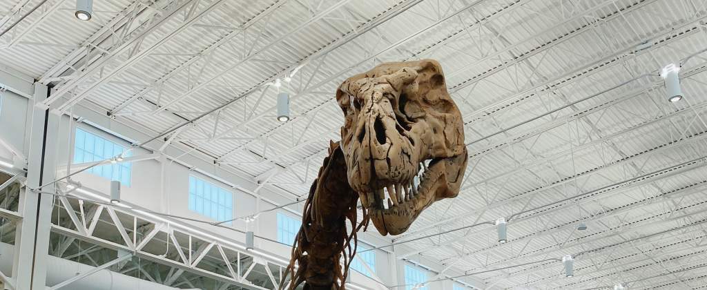 Rawr!' 20-foot T. rex dinosaur skeleton at Frisco Public Library