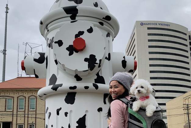 fire hydrant